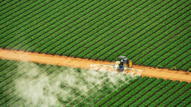 Best Pest Removal Services  in Morton, PA