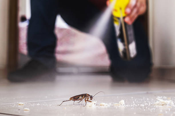 Best Pest Control Treatment  in Morton, PA